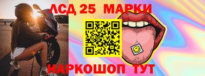 индика Михайловск