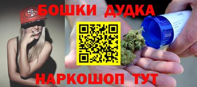 индика Михайловск